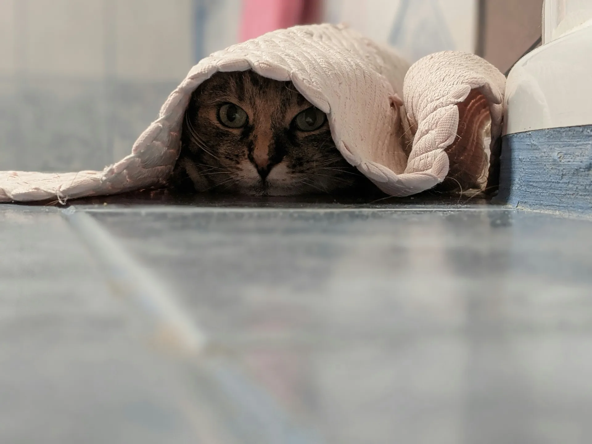 불안을 숨기고 지키려는 마음을 표현하는 이미지