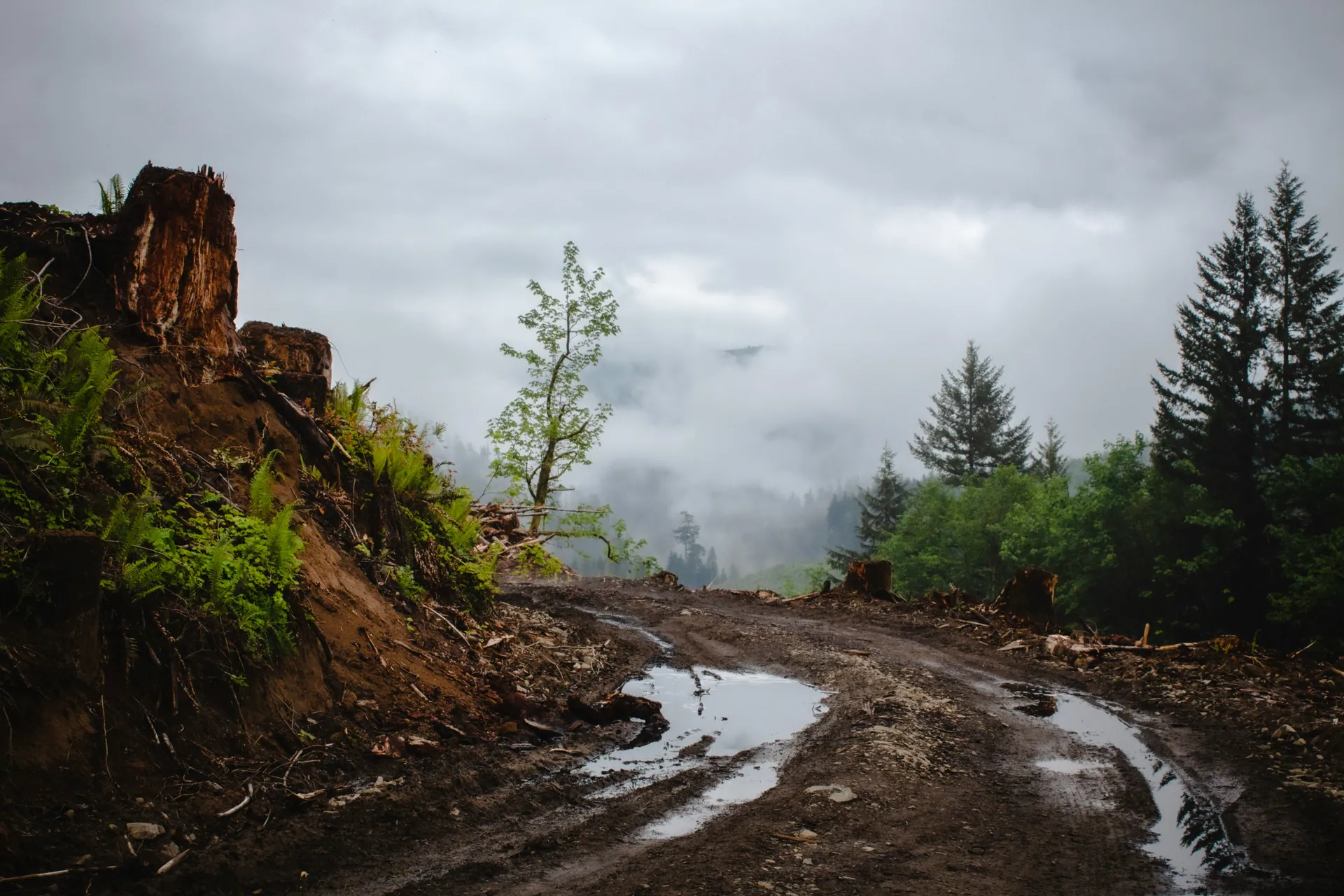 비 오는 날 진흙길을 걷는 꿈의 해몽과 관련된 다양한 감정의 상징