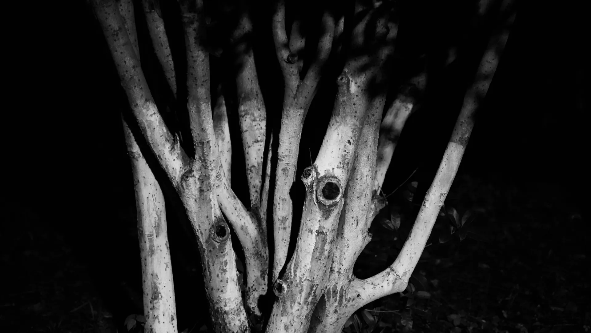 꿈 해몽 관련 균형과 조절의 상징