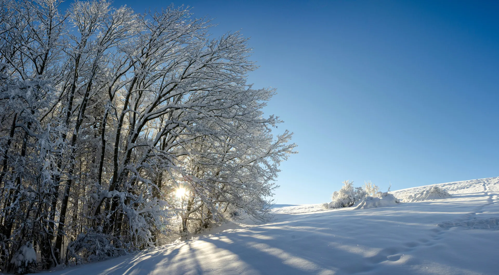 어머니의 평화로운 영혼을 상징하는 이미지