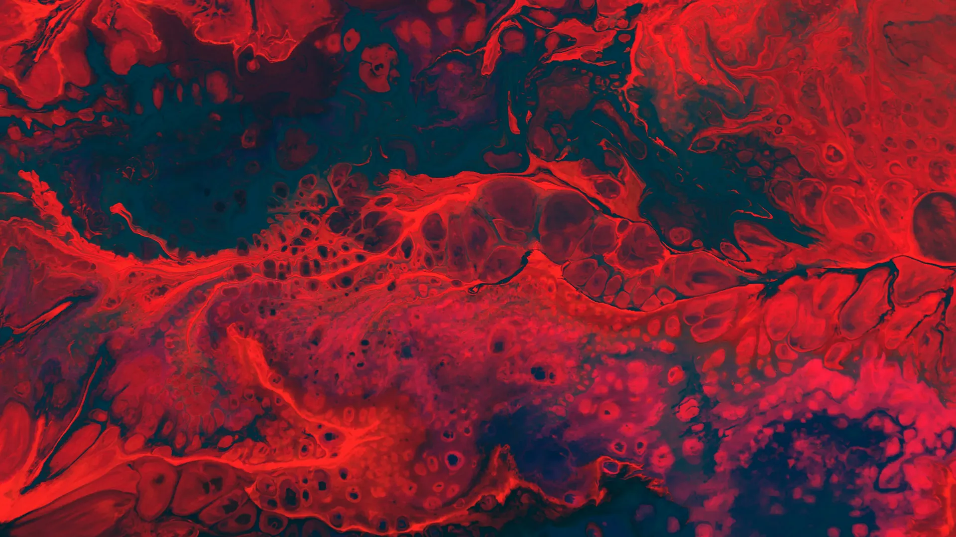 생리 꿈 해몽 관련 생명력과 재생의 상징