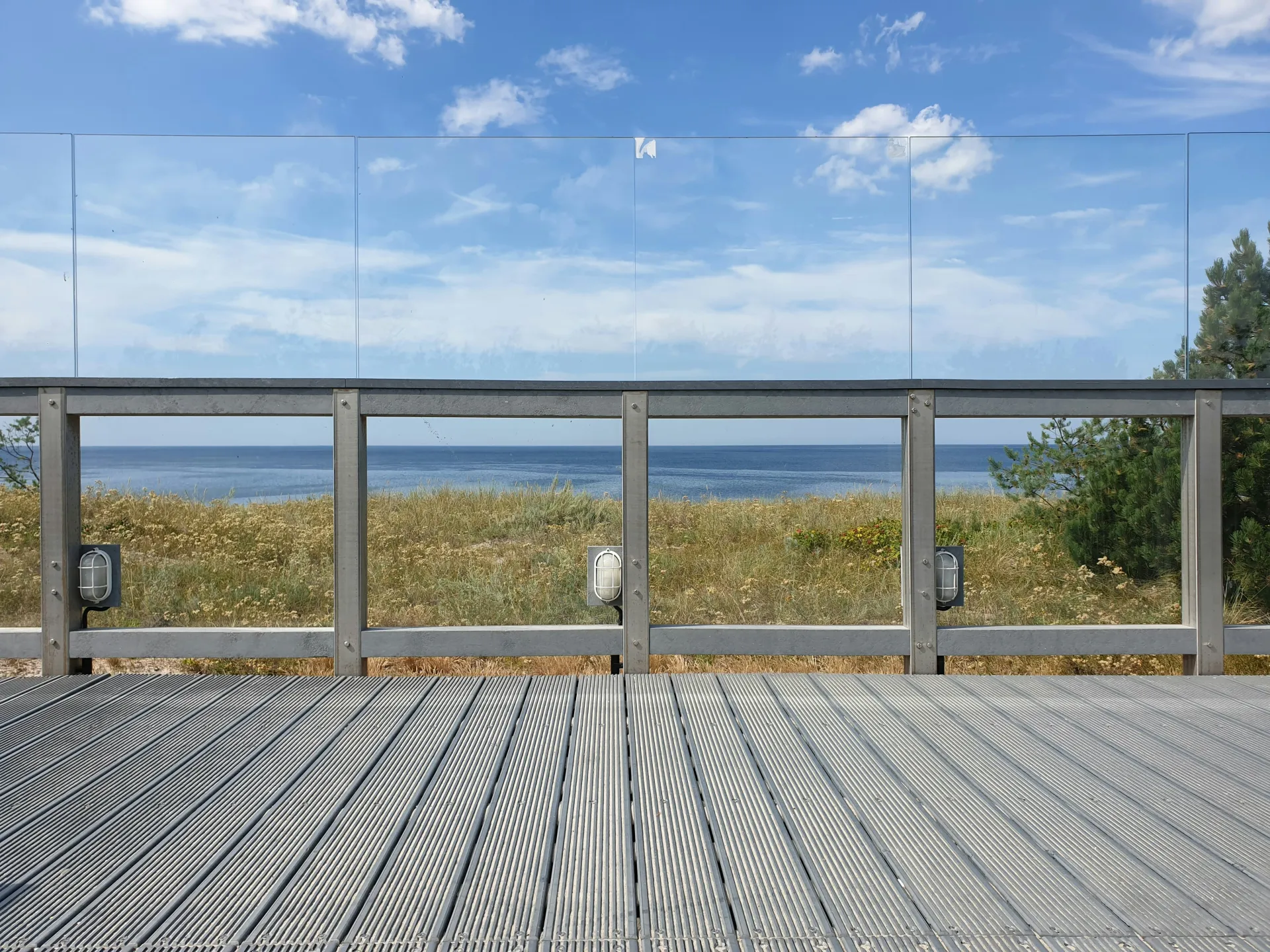 관찰하는 까마귀의 꿈 해몽과 관련된 상징