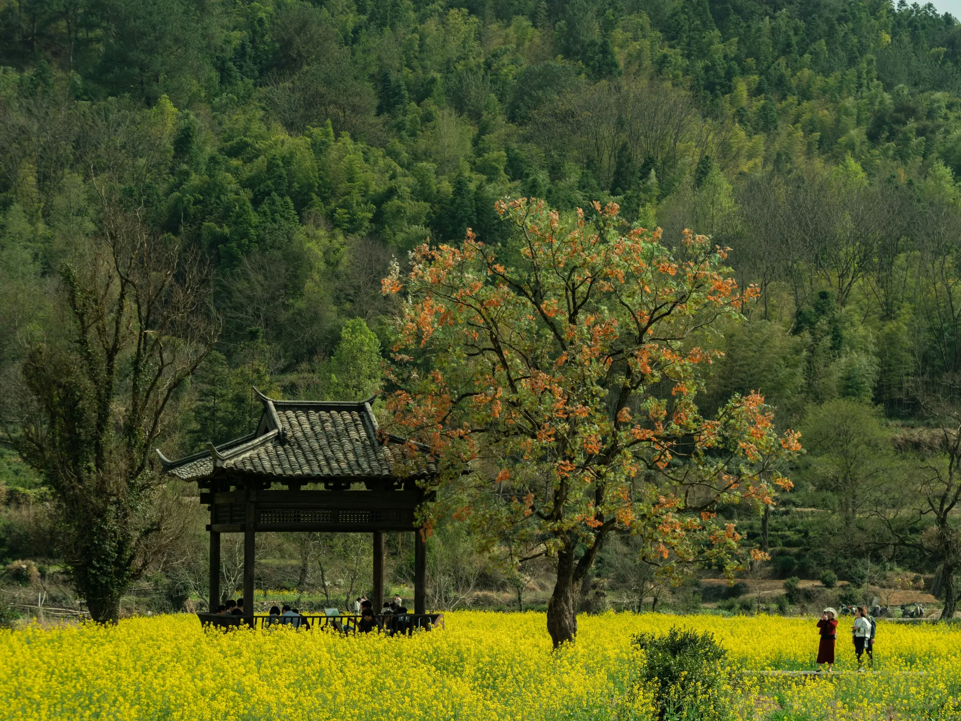 할머니의 경고와 변화의 상징을 나타내는 꿈 해몽 관련 이미지
