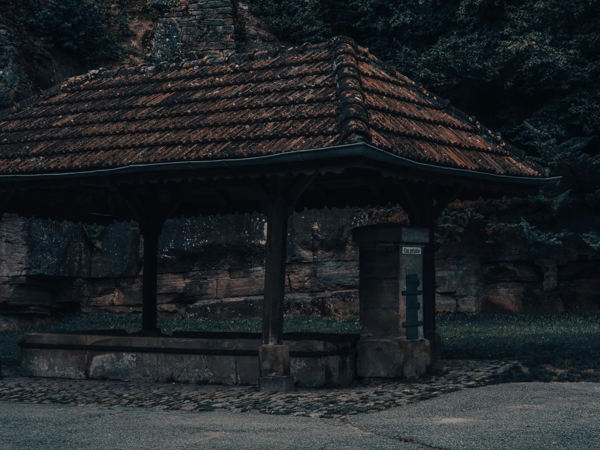 버스를 잘못 타고 다시 돌아오는 과정의 상징적 이미지