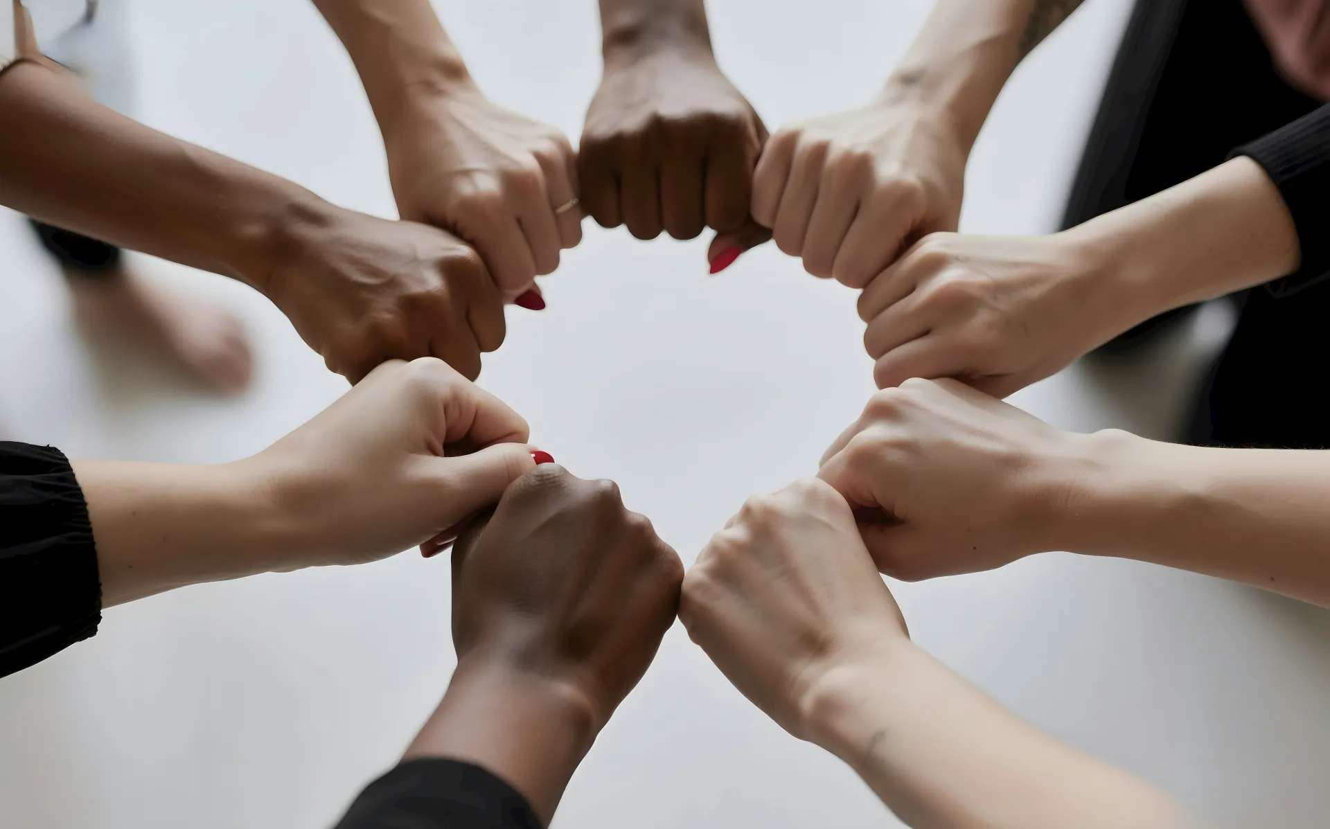 강아지를 입양하는 꿈 해몽 관련 새로운 유대감과 책임의 상징