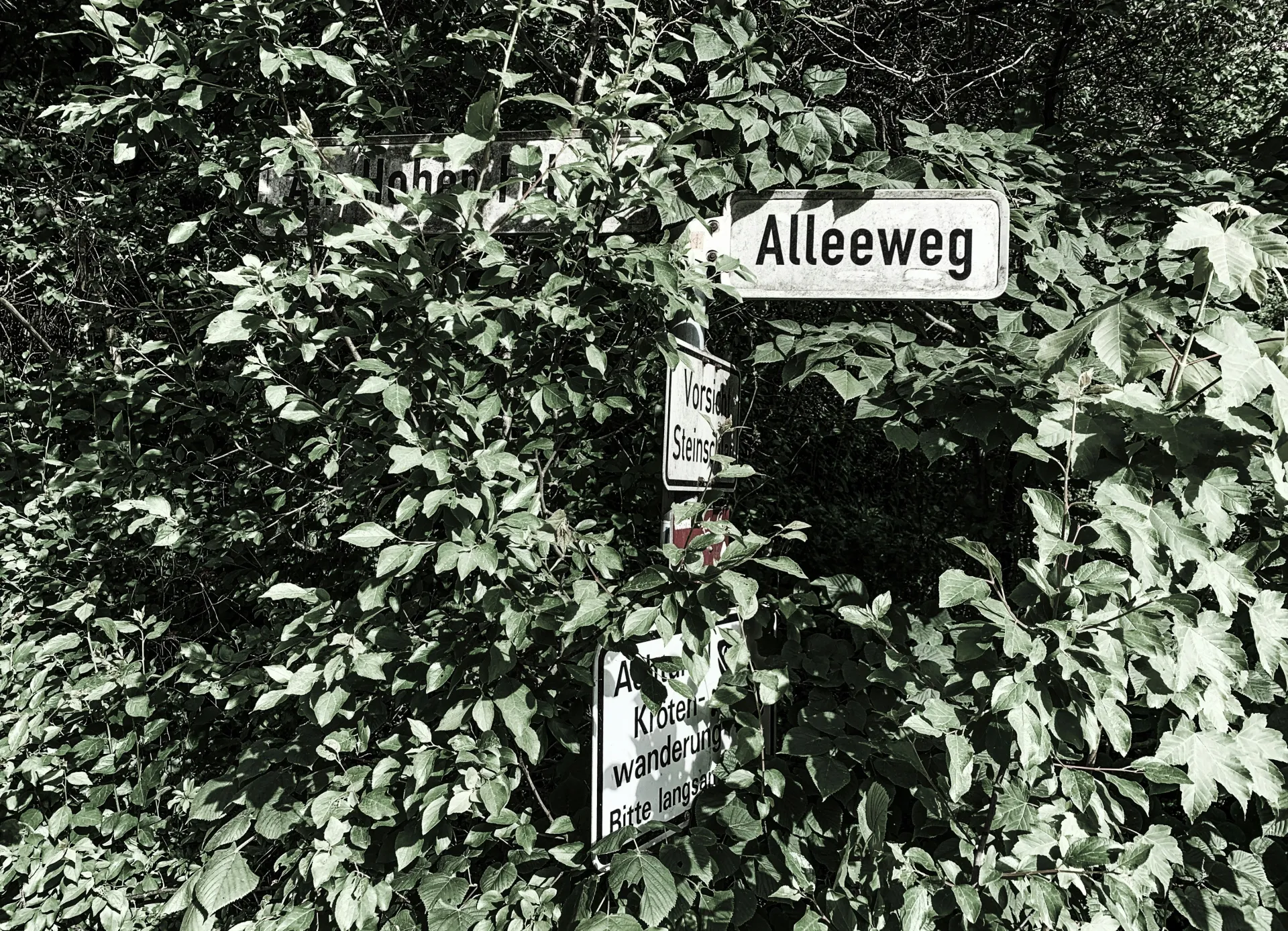 꿈 속의 거리와 옥상에서 추억을 만드는 상징적인 공간