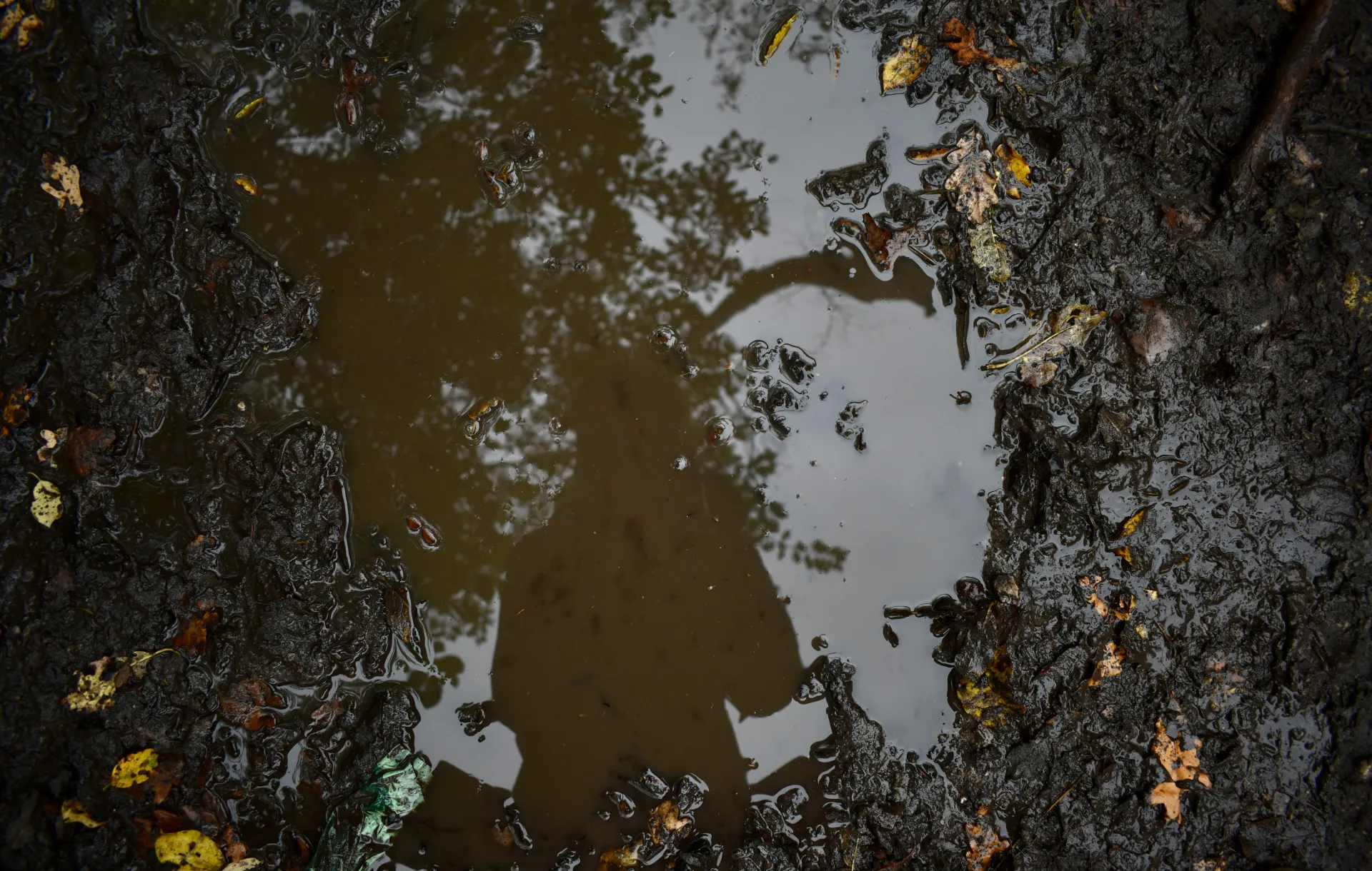 더러운 물이 깨끗해지는 꿈 해몽 관련 변화와 치유의 상징