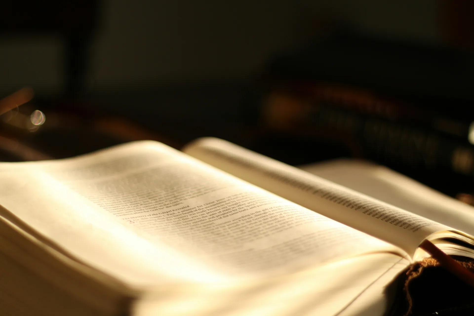 갈등과 인내가 주는 교훈을 상징하는 이미지