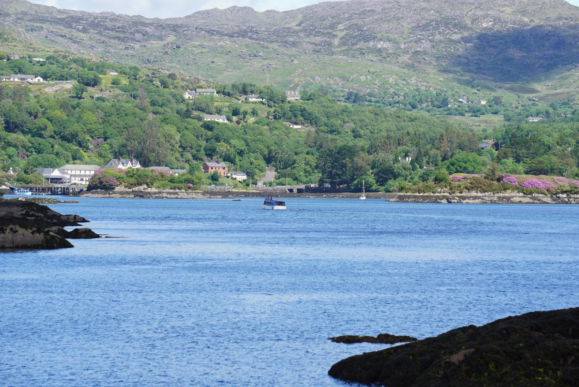 꿈 해몽 관련 이미지로 새로운 기회와 마음의 자유를 상징