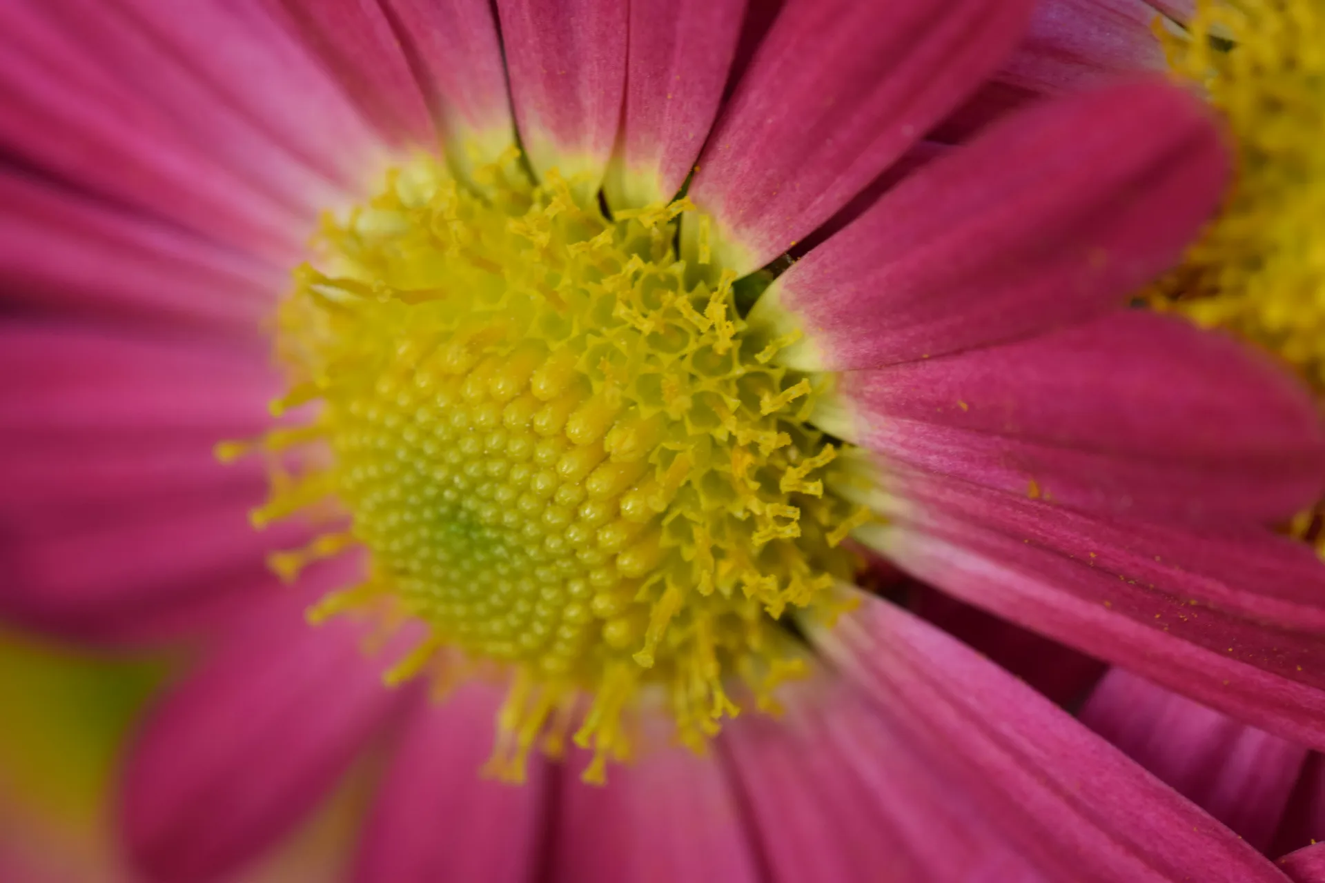 깨끗한 손과 새로운 시작을 상징하는 꽃 이미지