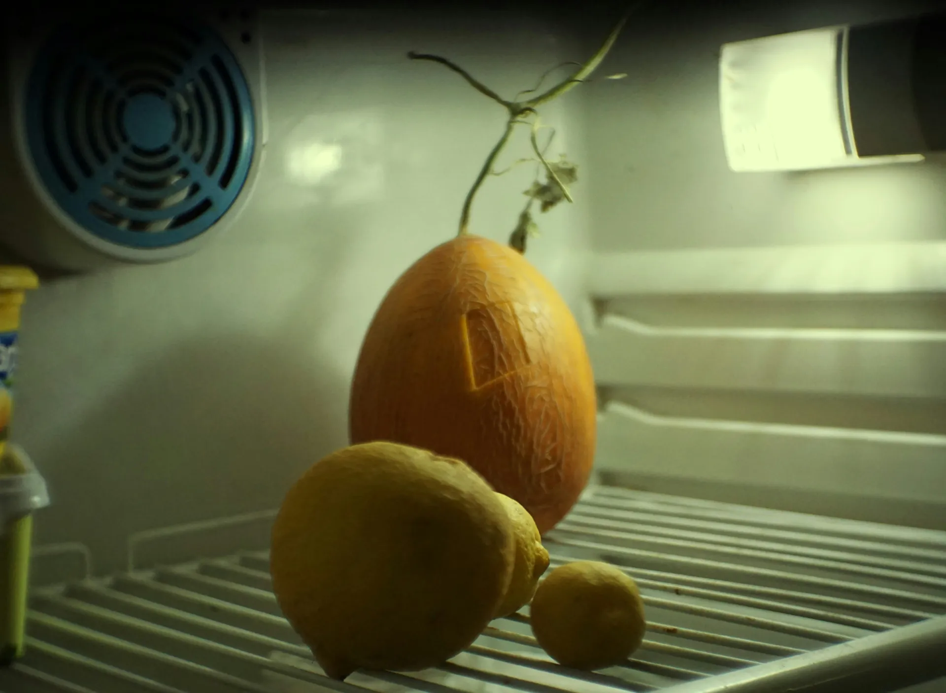 아주 밝고 빛나는 수박 속살을 나타내는 꿈 해몽