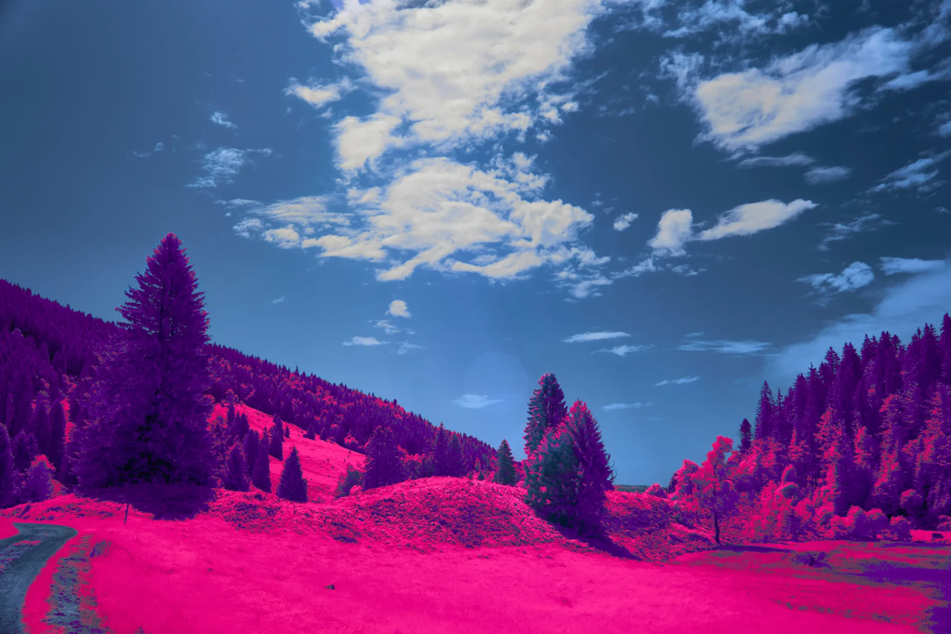 벌레 꿈과 관련된 정신적 안정과 기회의 상징