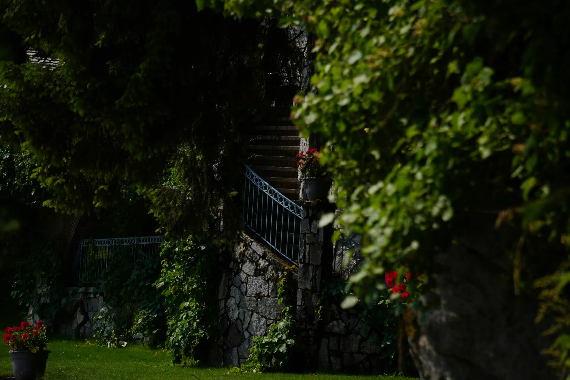 돈의 가치를 상징하는 오래된 화폐의 꿈 해몽