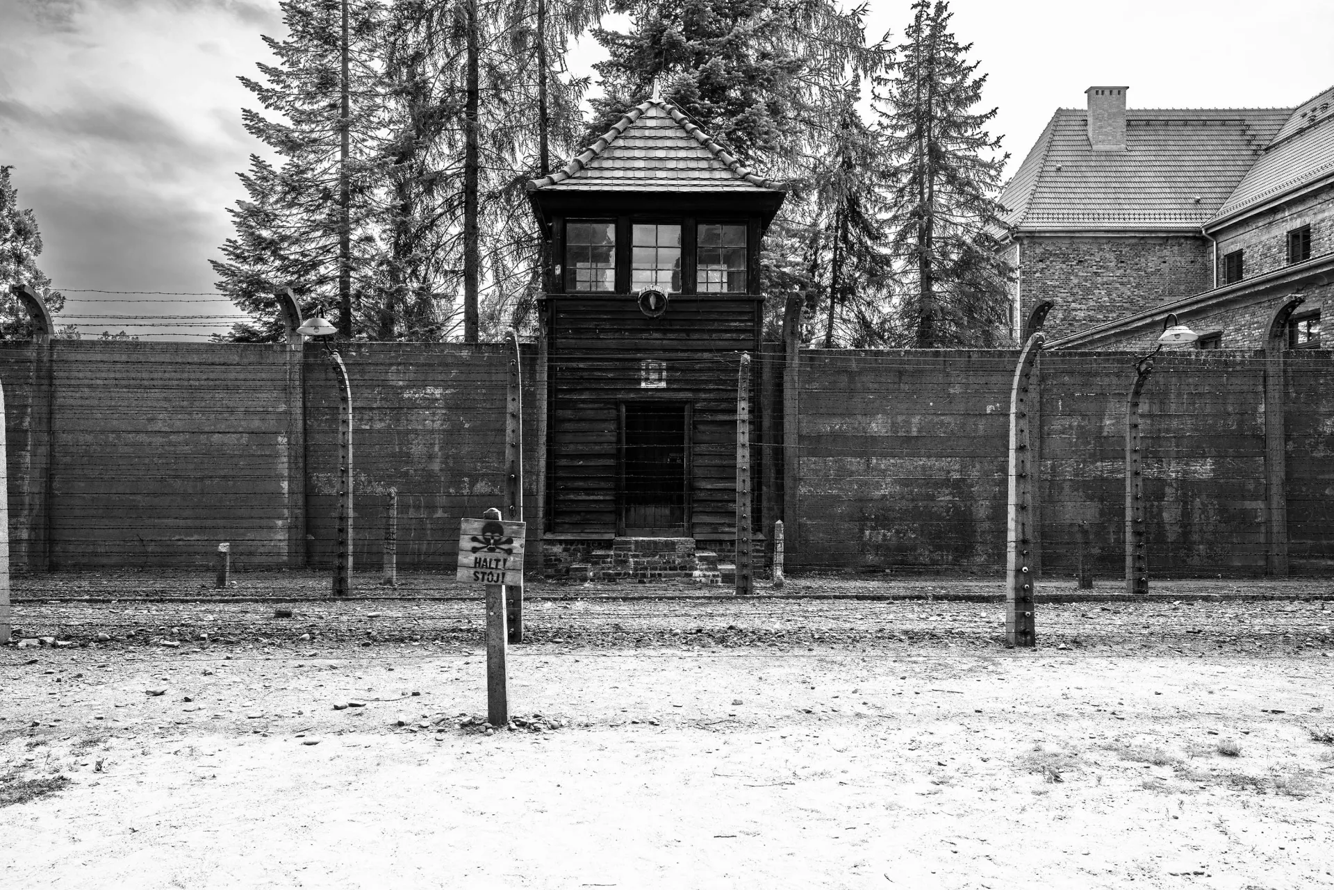 숨겨진 문제를 드러내는 꿈의 상징